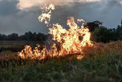 Wypalanie traw nadal problemem. Ruszyła akcja „Stop Pożarom Traw”