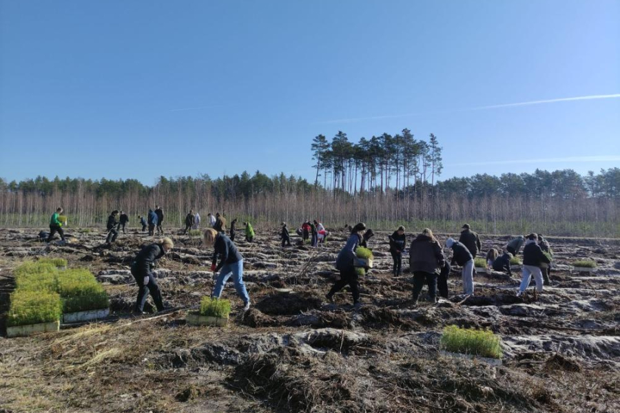 fot. Nadleśnictwo Gościeradów