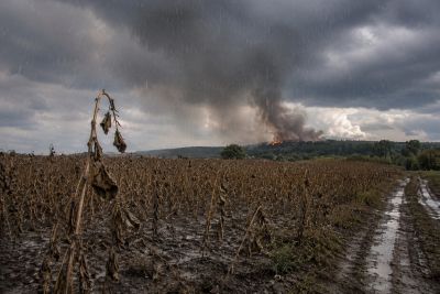 Po tygodniach suszy spadł deszcz. Nadciągają też burze [OSTRZEŻENIE]