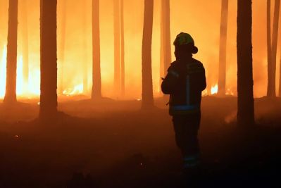 Strażacy z powiatu tomaszowskiego wciąż walczą z ogniem. Nowe informacje z Puszczy Solskiej