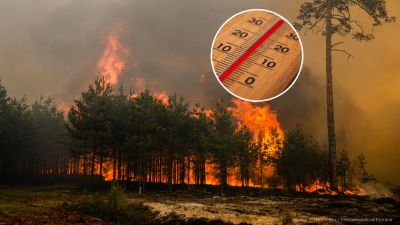 Gorące dni coraz bliżej. W lasach wzrośnie ryzyko pożarów