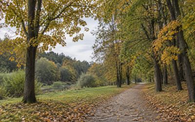 Czas pożegnać lato. Dziś pierwszy dzień jesieni – co przyniosą najbliższe dni?