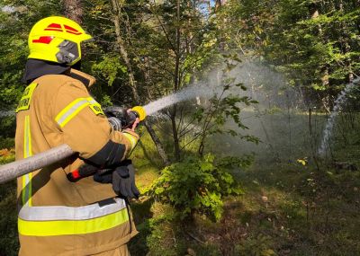 Pożar lasu i ewakuacja poszkodowanego. Manewry OSP w gminie Susiec