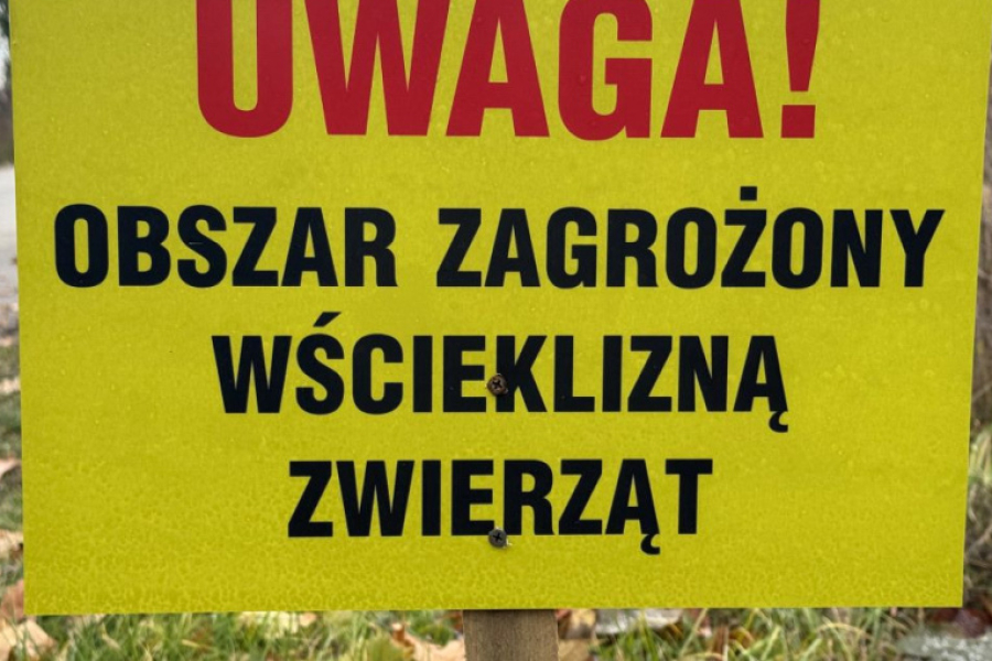Zdjęcie ilustracyjne / fot. archiwum