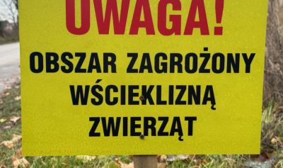 Wścieklizna w powiecie. Wyznaczono obszar zagrożony w czterech gminach